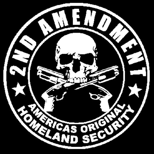 2nd Amendment Americas Original  Graphic Tee Shirt Classic T shirt Big and Tall