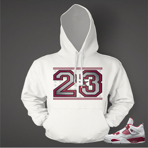 23 Hoodie to Match AIR J 's Alternate All Star Edition Hoodie Pullover